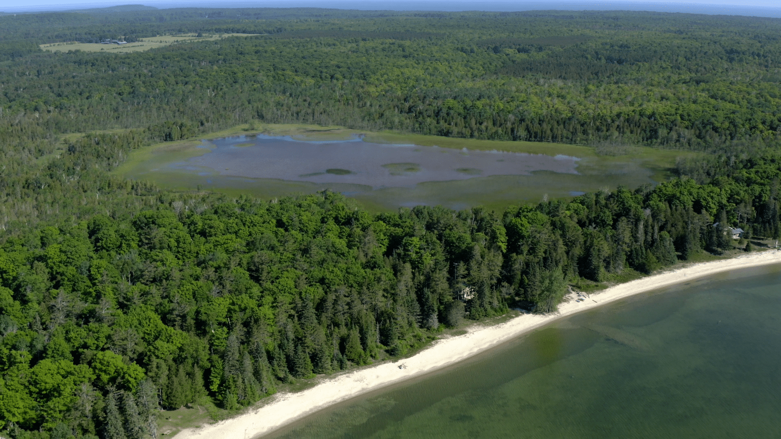 20 Acres Protected at Washington Island’s Big and Little Marsh - Door ...