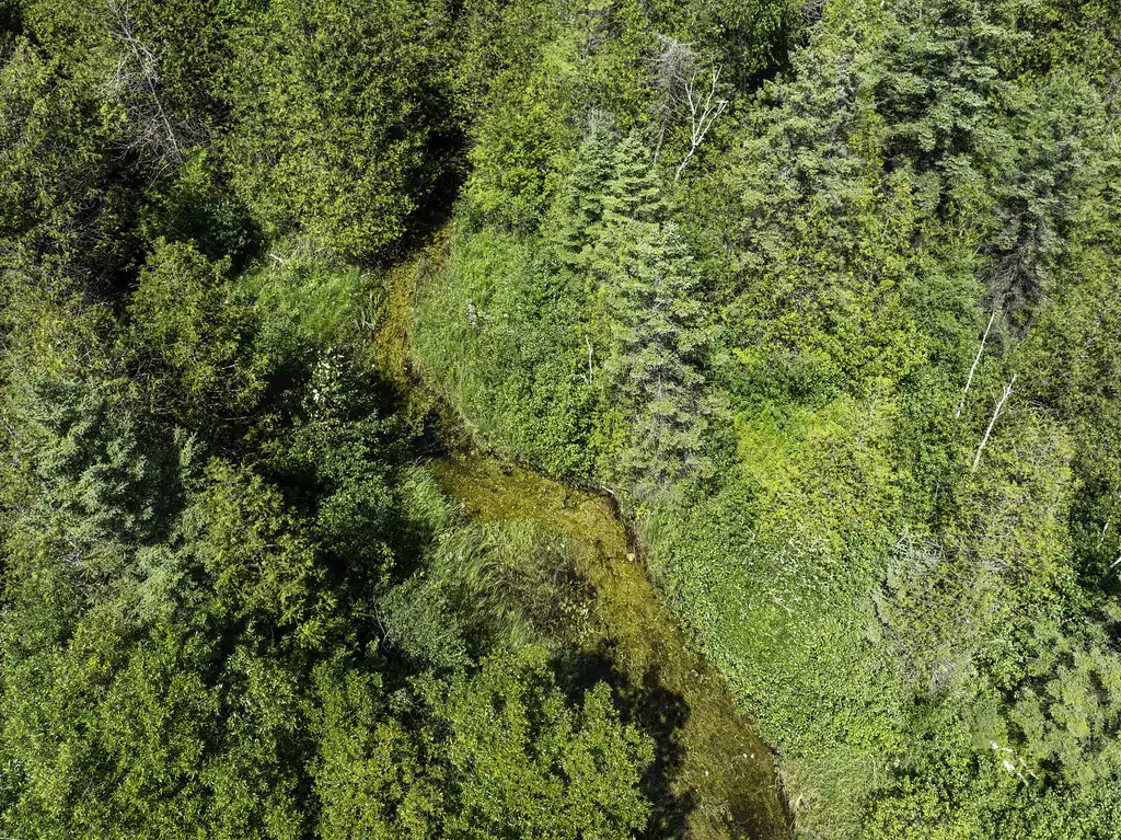 An aerial view of Hibbard Creek reveals valued, forested areas that aid in water filtration. Photo by Dan Eggert