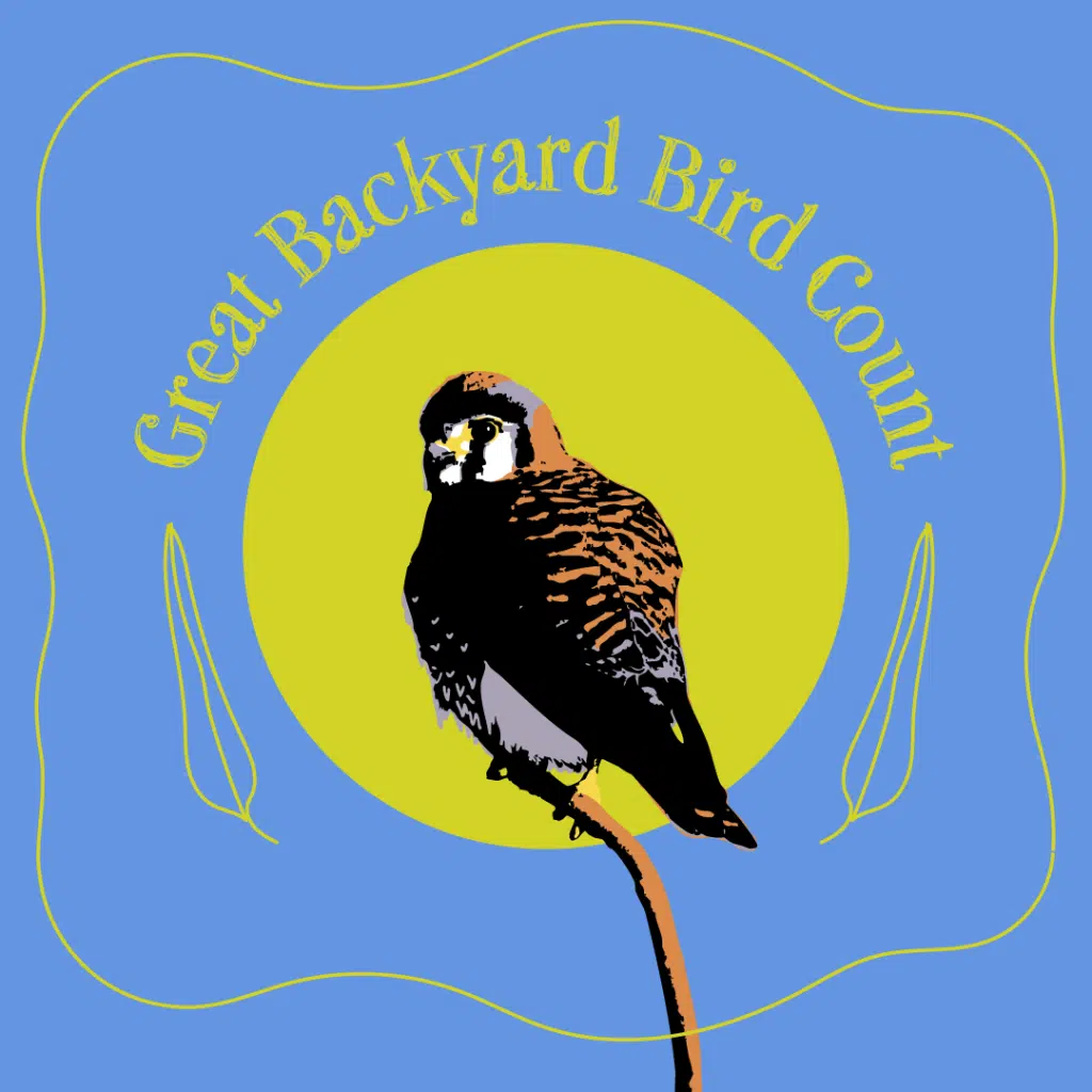 GBBC-bird-title