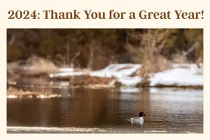 text saying "thank you for a great year' and an image of a duck on a wintry pond